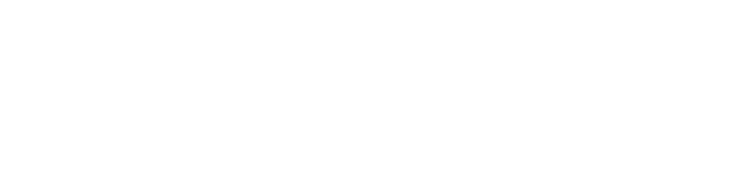 PERSPECTIVE